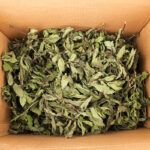 GreenHarvest Herbal Tea 4